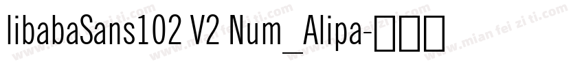 libabaSans102 V2 Num_Alipa字体转换
